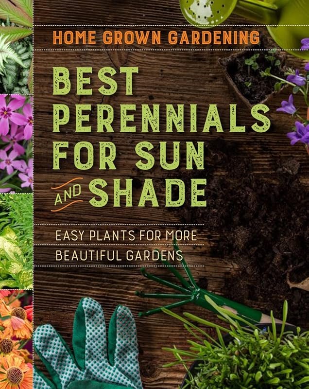 Best Perennials for Sun and Shade: Practical Guide for Beautiful Low-M