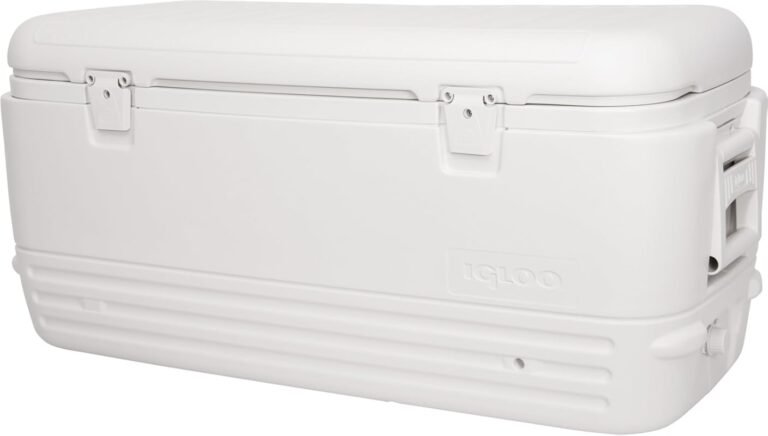 5 Best Coolers for Fishing You Can Rely On
