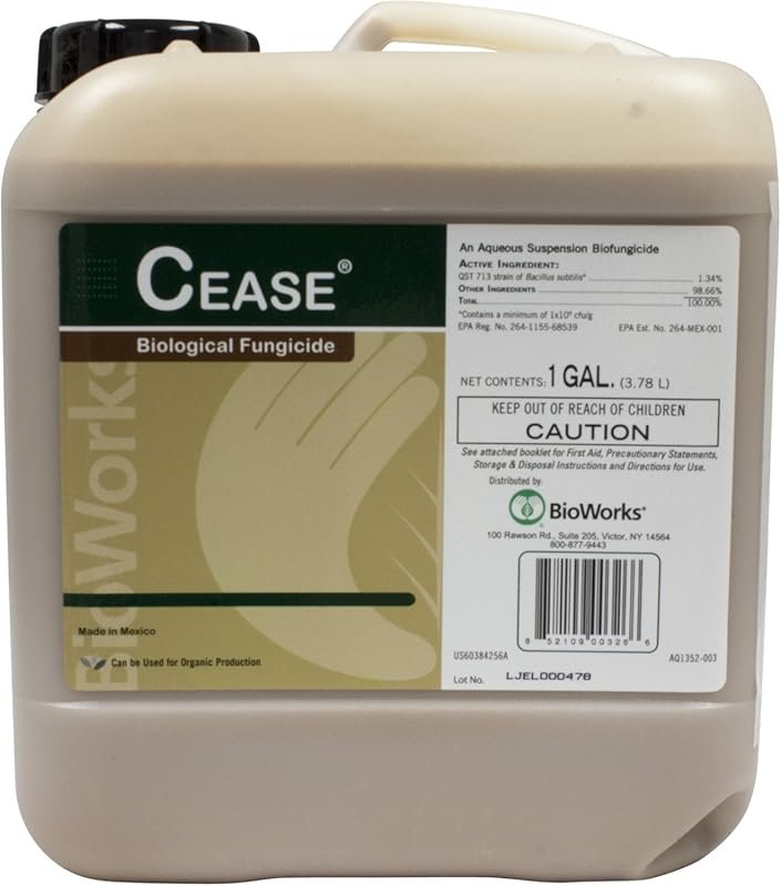 Top 5 Fungicides That Effectively Treat Septoria Leaf Spot