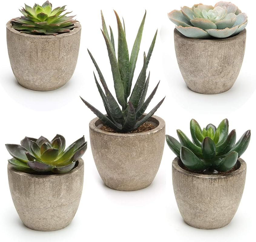 Set of 5 Assorted Faux Succulent Plants in Pots – Realistic Fake Cactus