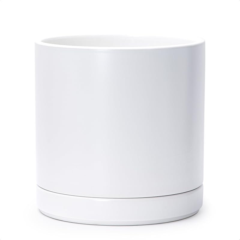 D'vine Dev 10-Inch Ceramic Planter with Drainage Hole and Saucer, Mode