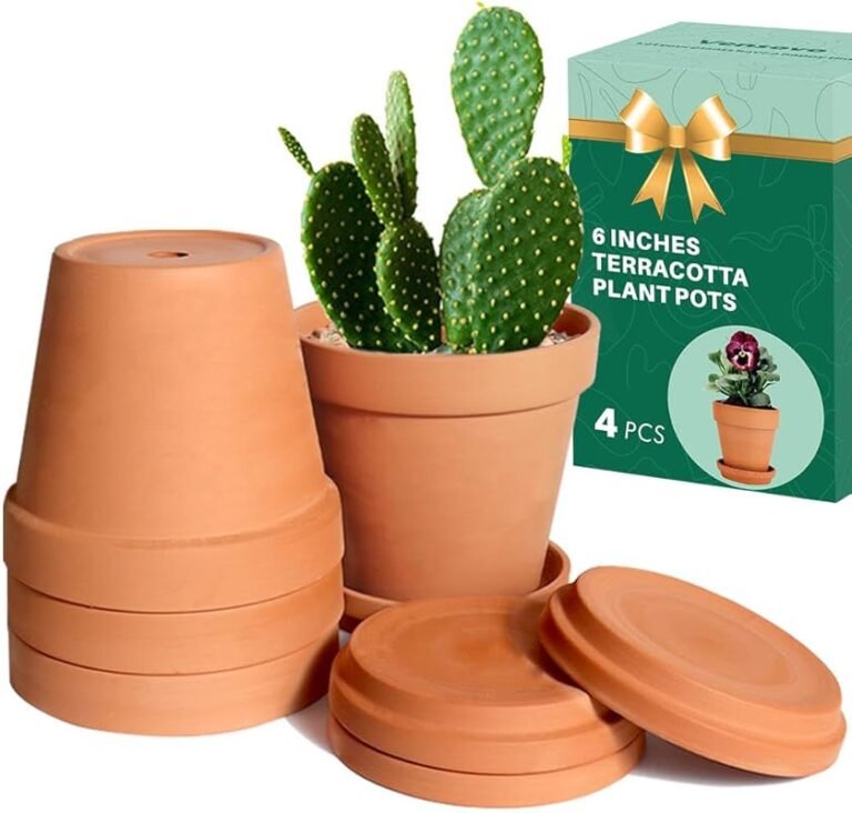 4 Best Plants for Clay Pots That Thrive