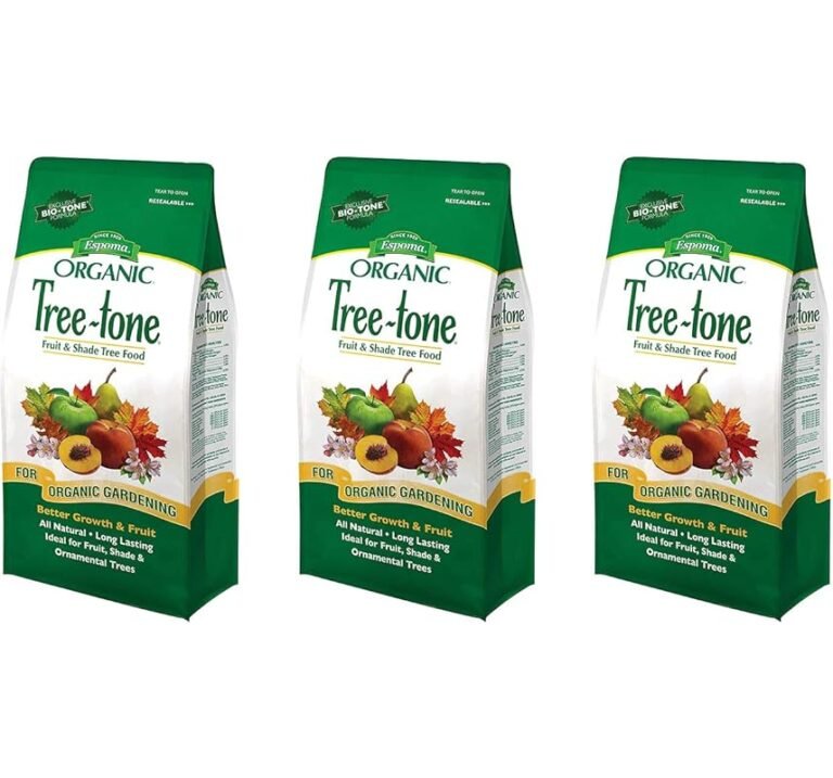 Top 4 Best Fertilizers for Newly Planted Trees