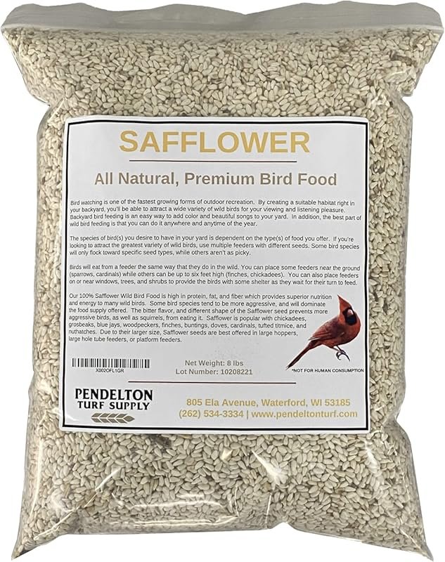 Premium All-Natural Safflower Wild Bird Seed in Resealable 8 lb Bag – 