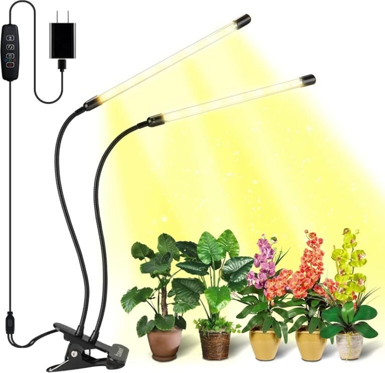 4 Best Indoor Flowering Plants for Low Light That Thrive