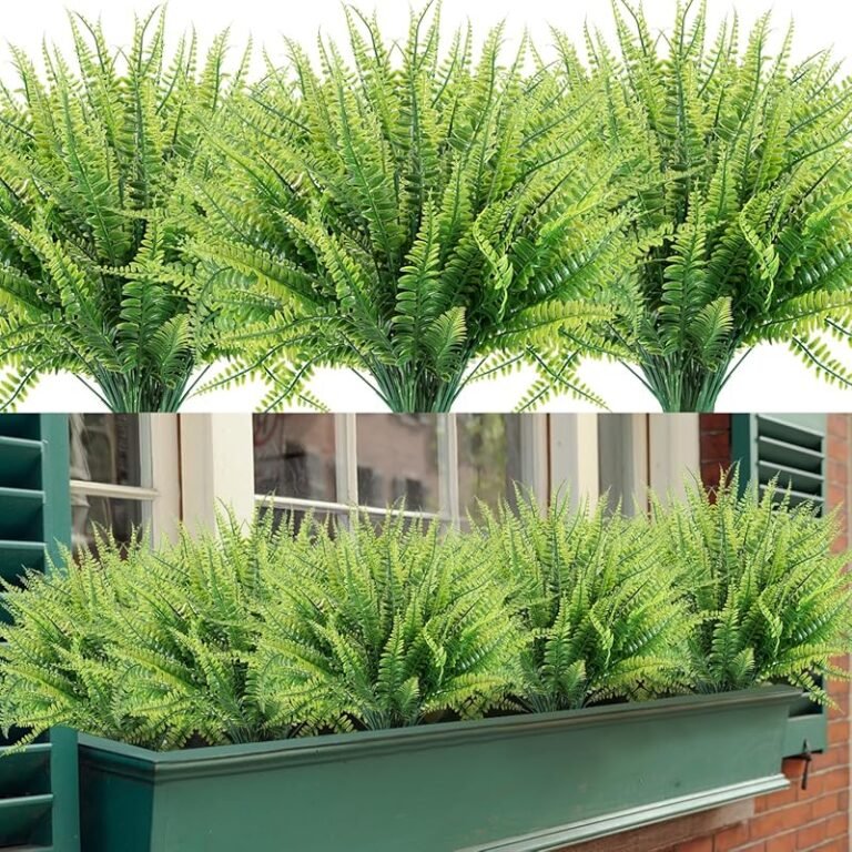 5 Best Plants for Planter Boxes in Full Sun