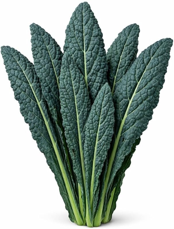 Black Tuscan Lacinato Kale Seeds: Dark Blue-Green Heirloom Vegetable f