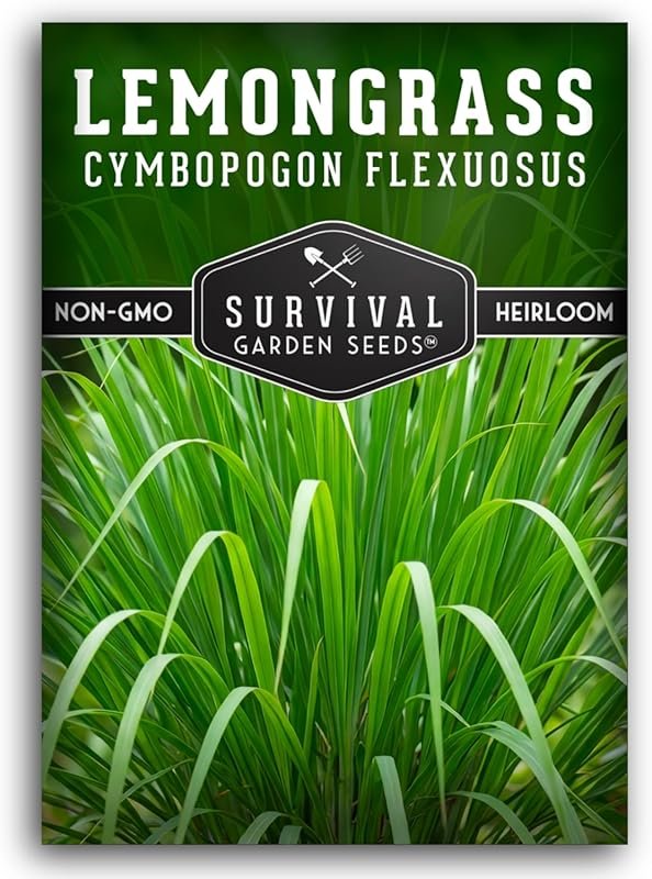 Heirloom Asian Lemongrass Seeds for Planting: Fragrant Citrus Herb for