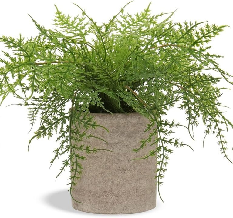 4 Best Small Plants for Bathroom That Thrive in Humidity