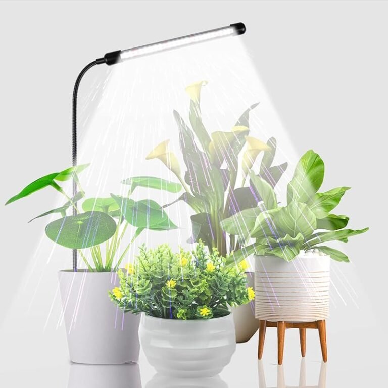 4 Best Plants for Very Low Light That Thrive in Shade
