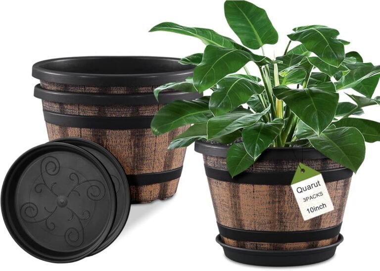 5 Best Flowering Plants for Pots That Thrive with Ease
