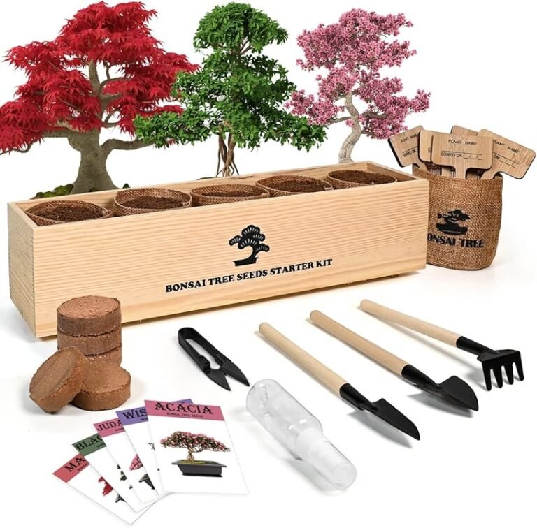5 Best Trees for Bonsai That Thrive and Impress