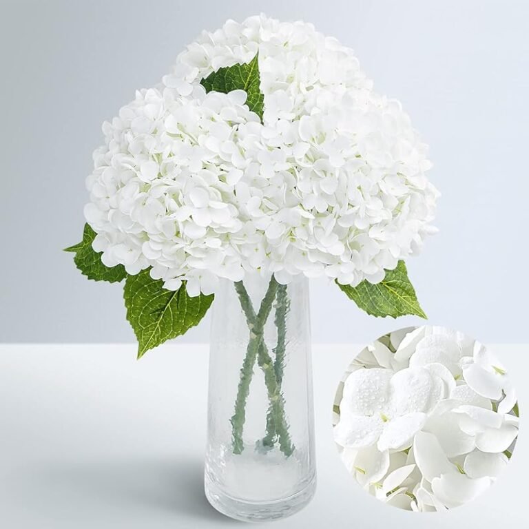 Top 4 Hydrangeas for Front of House Landscaping
