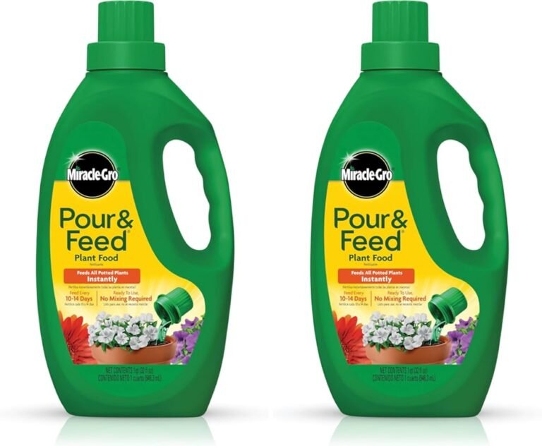 Top 4 Plant Foods for Seedlings That Deliver Real Results