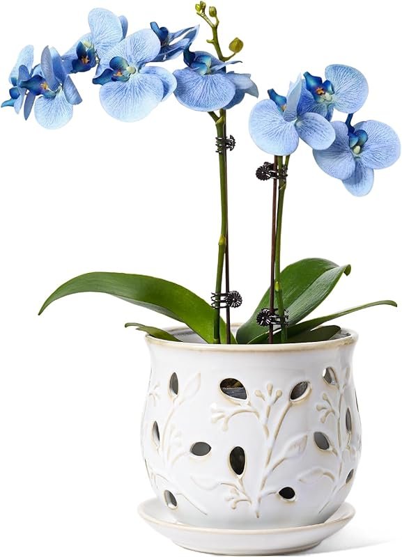 6.5 Inch Ceramic Orchid Pot with Drainage Holes and Saucer, Arctic Whi
