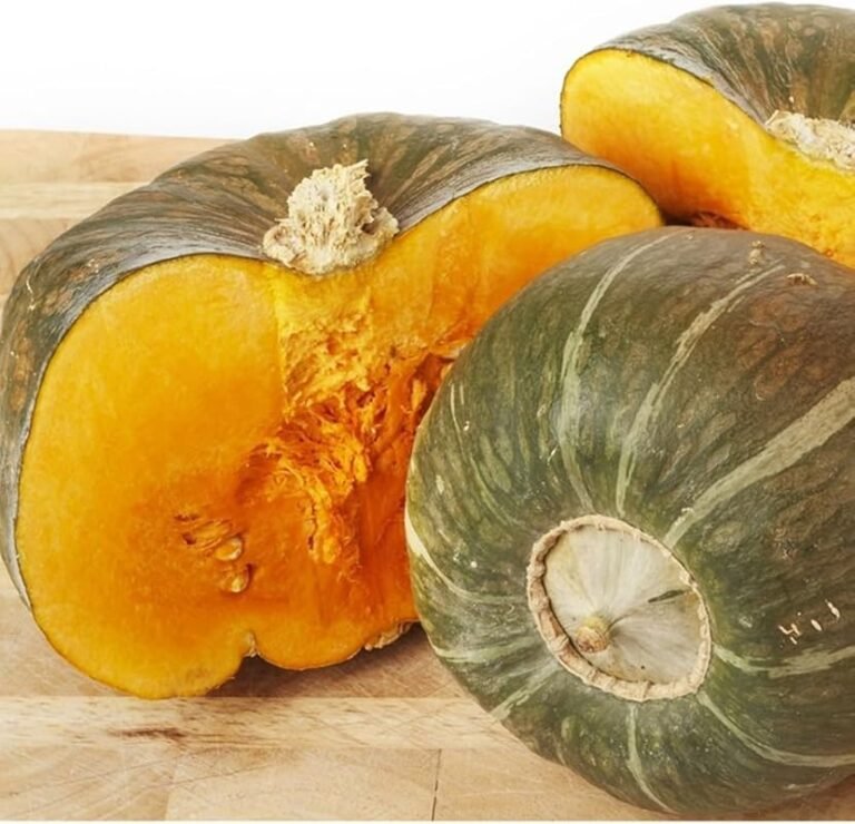 4 Best Squash Companion Plants for a Bountiful Harvest
