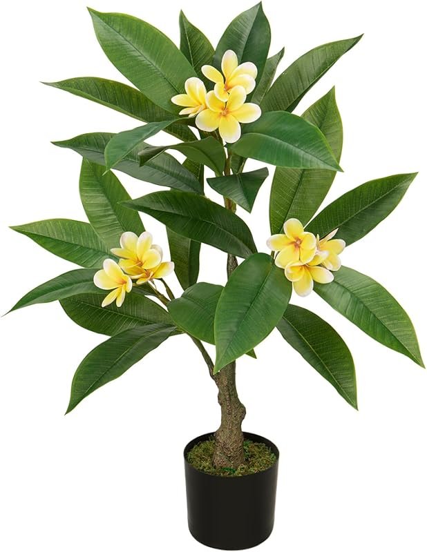 5 Best Potted Shade Plants: Expert Picks for Your Garden