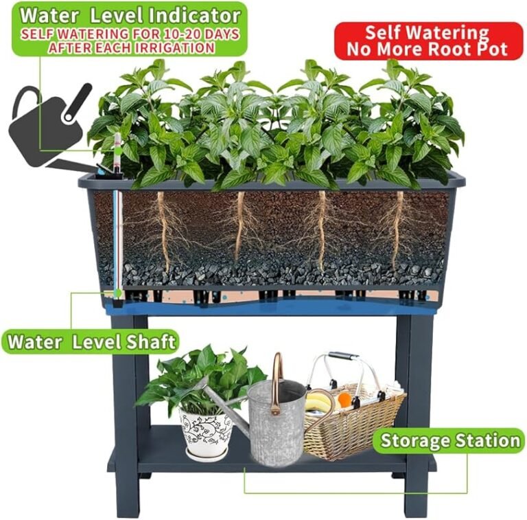4 Best Shade-Tolerant Plants for Planter Boxes