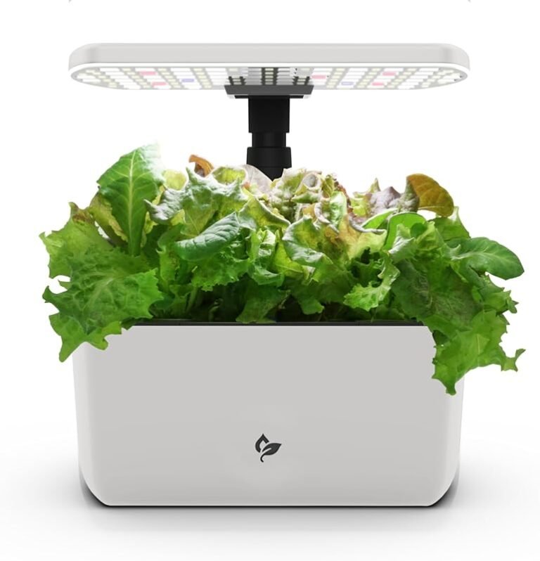 4 Best Plants for Indoor Hydroponics That Thrive Effortlessly