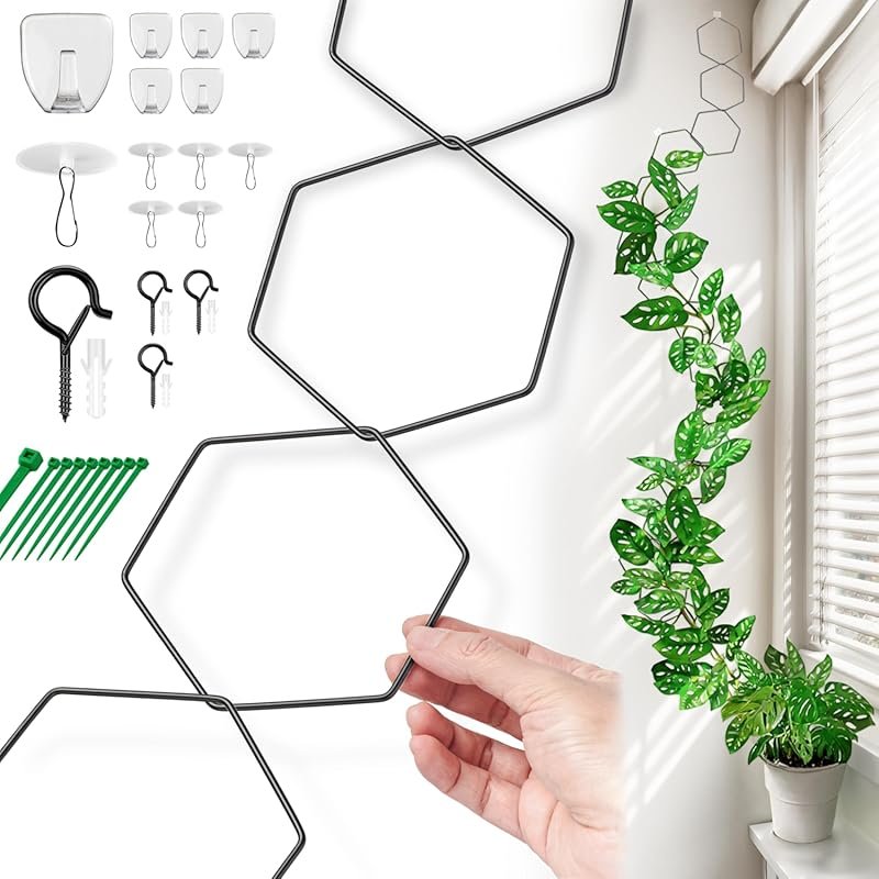 Indoor & Outdoor Chain Trellis for Monstera, Pothos, and Ivy – Stylish
