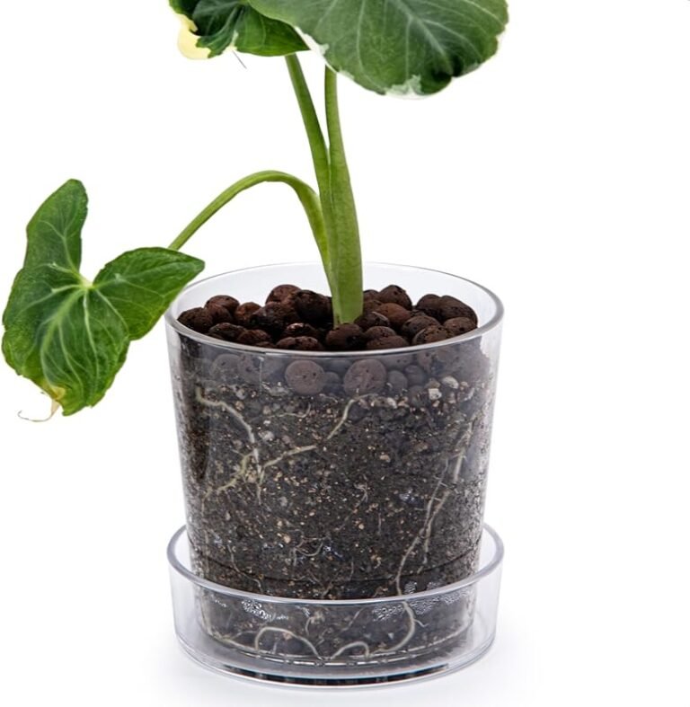 5 Best Containers for Orchids That Promote Healthy Growth