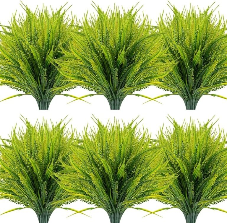 4 Best Shade Plants for Planter Boxes: Expert Picks