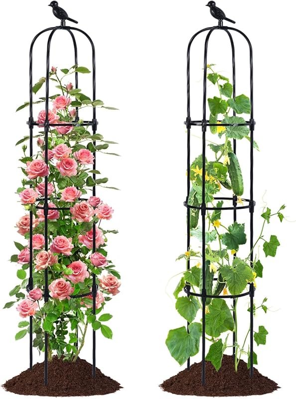 FOLLOOK 2-Pack Black Obelisk Trellis for Outdoor Climbing Plants