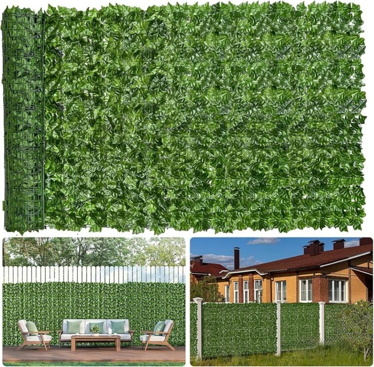 Top 4 Conifers for Privacy That Deliver Results