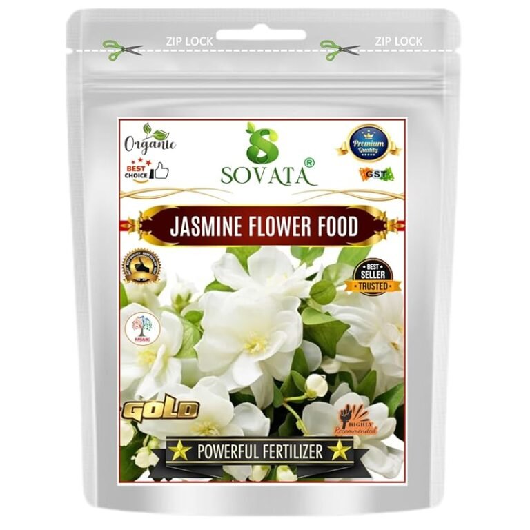 Top 4 Fertilizers for Outdoor Flowers That Deliver Stunning Blooms
