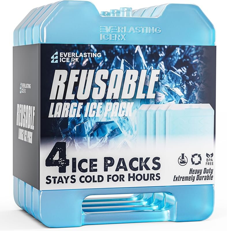 Everlasting Ice RX Large Reusable Cooler Ice Packs with Handle (4 Pack