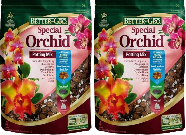 4 Best Media for Orchids to Boost Growth & Health
