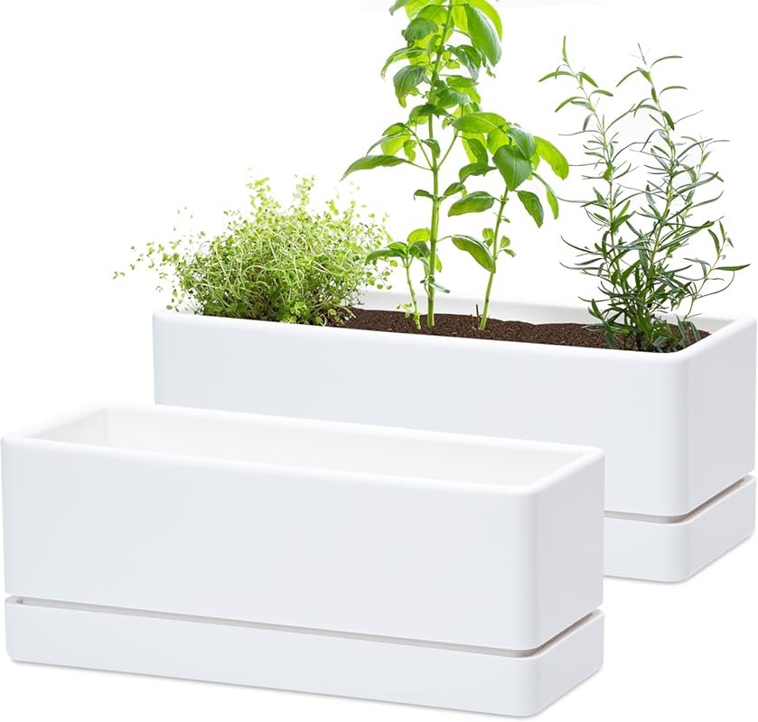 D'vine Dev 12-Inch White Rectangle Window Box Planter with Drainage an