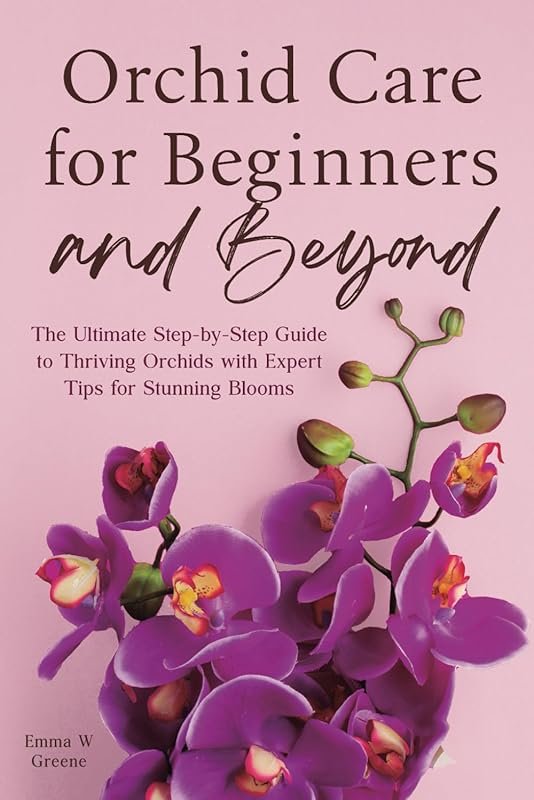 5 Best Orchids for Beginners That Thrive with Ease