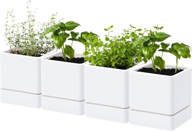4 Best Plants for Containers That Thrive with Ease