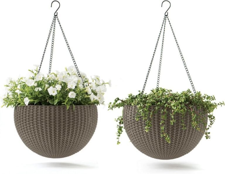 4 Best Plants for Hanging Planters That Thrive