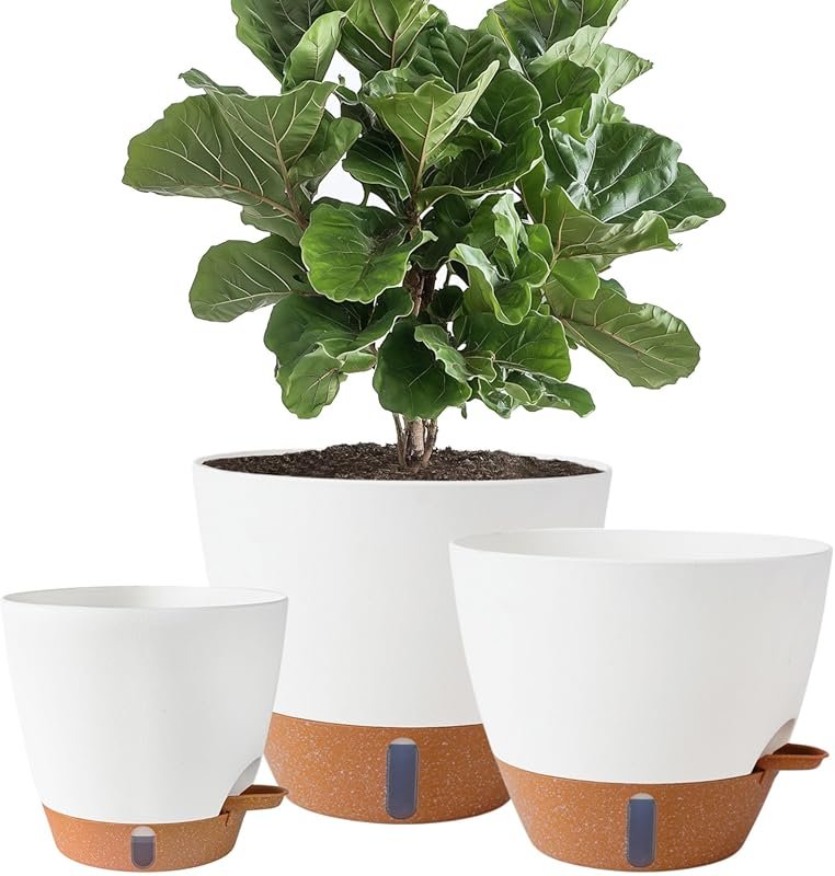 8/10/12 Inch Self-Watering Planters with Water Indicator & Reservoir f