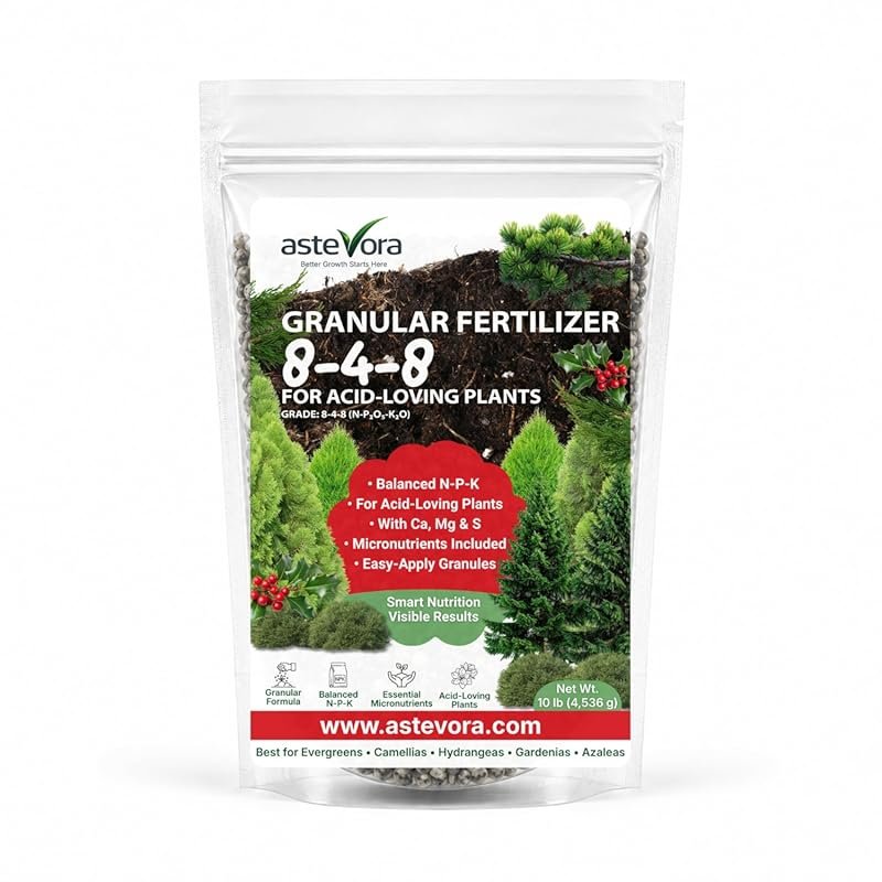 GARDENWISE Evergreen Fertilizer – Slow-Release Granular Food for Outdo