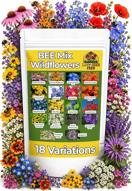 5 Best Perennial Flowers for Partial Shade Gardens