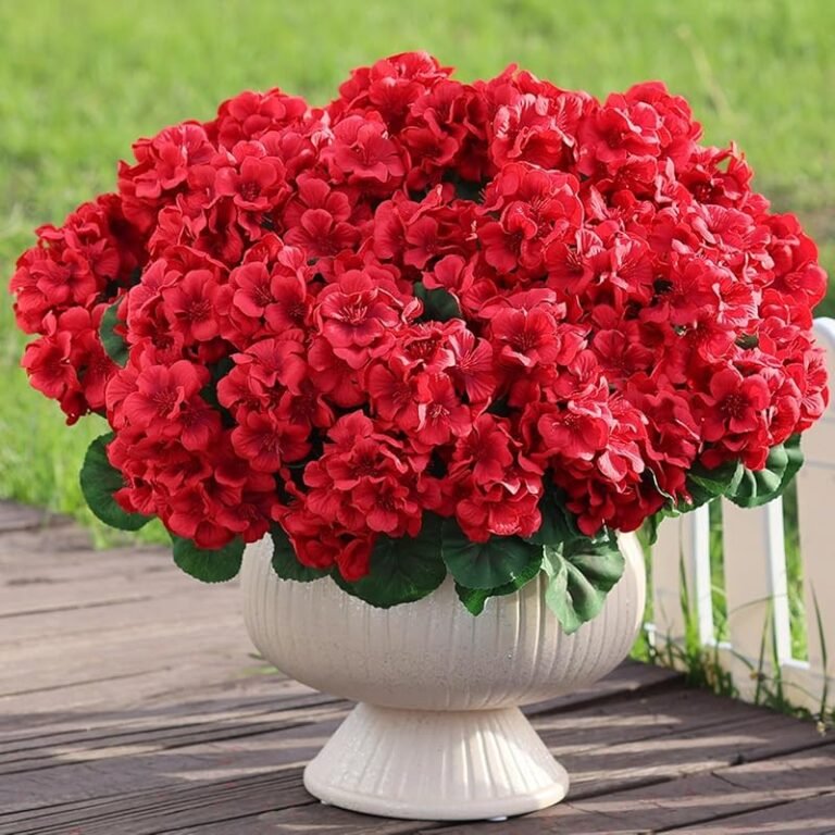 4 Best Geraniums For Pots: Expert Picks