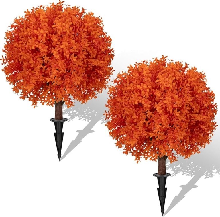 Top 5 Best Soil for Orange Trees in Pots That Deliver Real Results