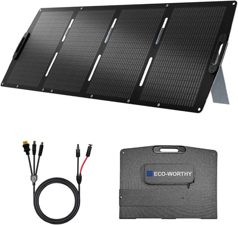 1 Best Solar Panels For Hot Climates: Expert Picks