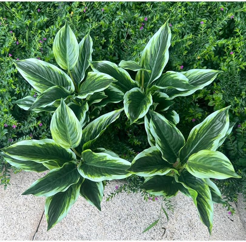 4 Bushes Artificial Variegated Hosta Plants: 15.7