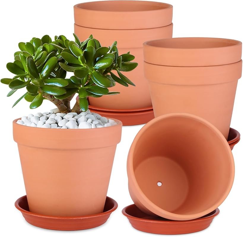 6 Pack 6 Inch Terracotta Pots with Saucer – Large Clay Planters with D