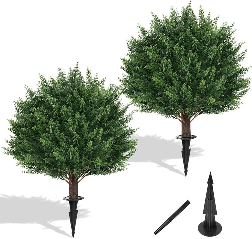 Yangrass Set of 2 23