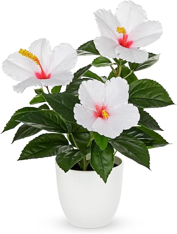 White Artificial Hibiscus Plant in Pot for Farmhouse and Coffee Table