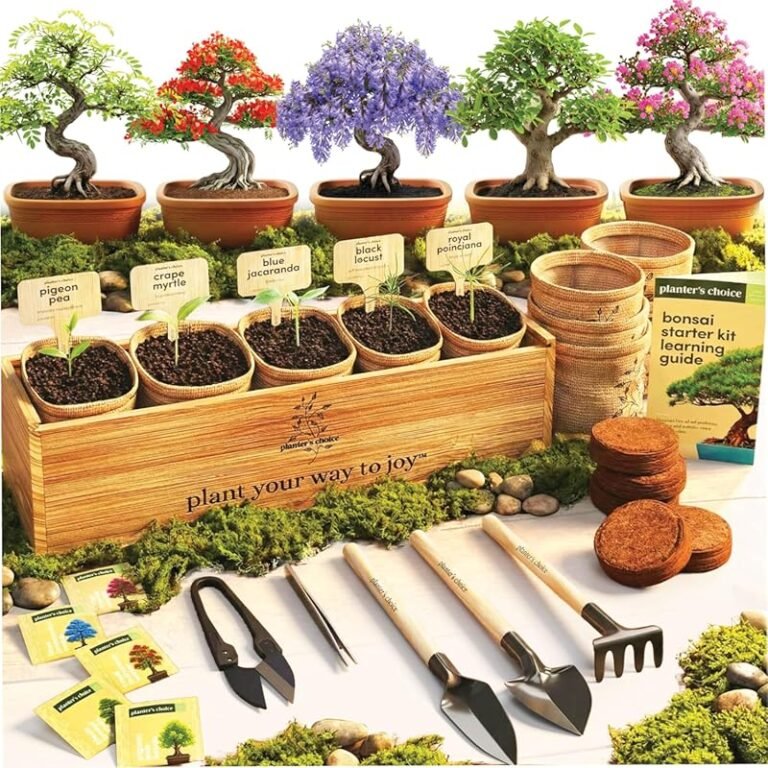 5 Best Trees for Bonsai: Expert Picks