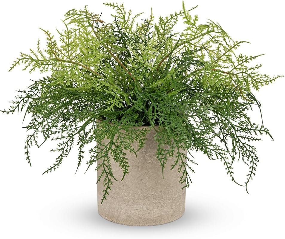 Rustic Artificial Fern in Pulp Pot for Farmhouse Home, Office, and Bat