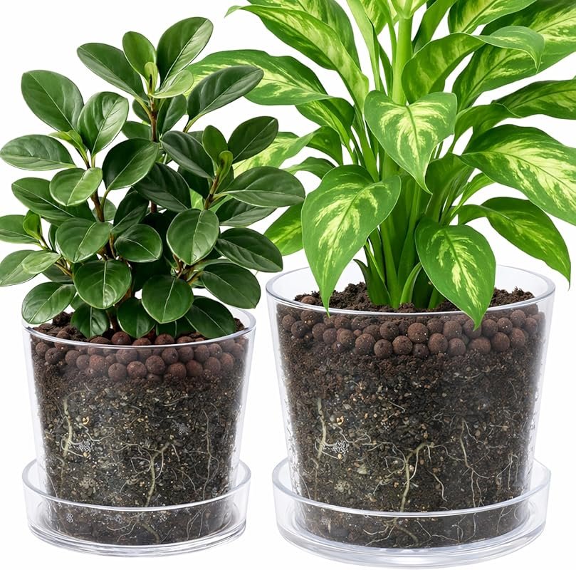 Large Clear Acrylic Houseplant Planter with Tray and Drainage for Indo