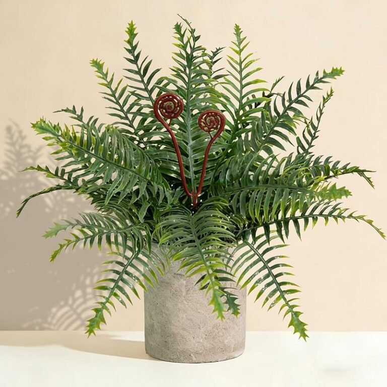 2 Best Low Light Indoor Ferns: Easy Care & Beautiful