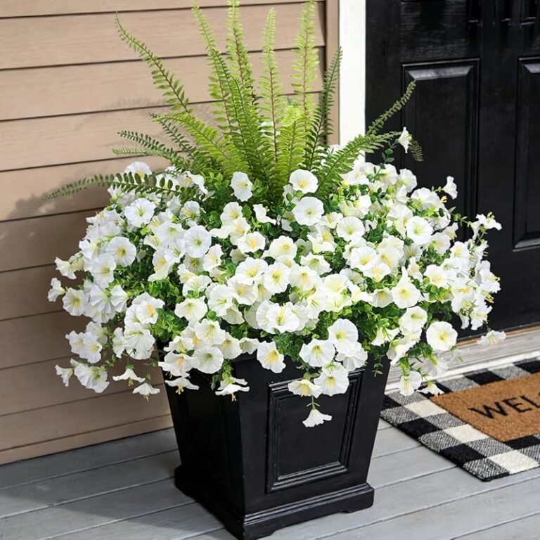 4 Best Flowers for Covered Porch That Thrive in Shade